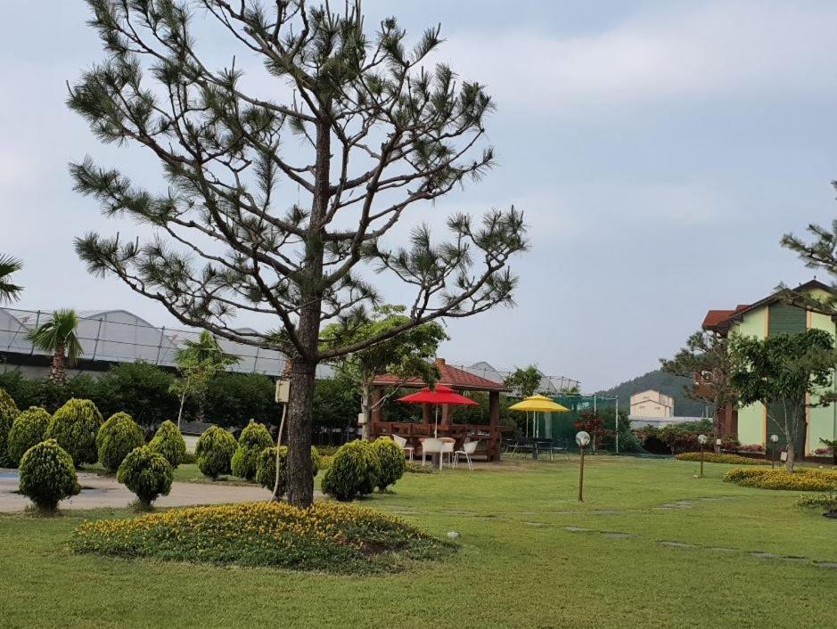 Jeju Time-Travel Pension Exterior foto