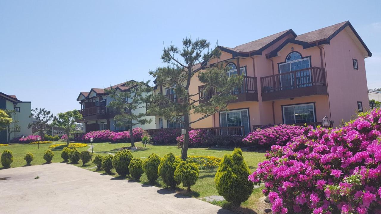 Jeju Time-Travel Pension Exterior foto